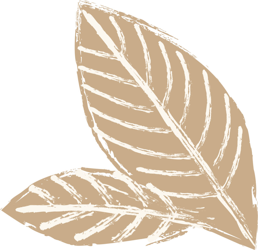 
棒球新航线丨快趣团建带你玩转竞技体育【BJL平台】(图2)