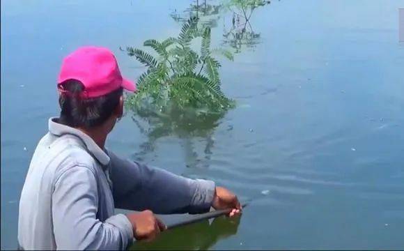 防挂底的钓法 1262a373be094a8489ecd065475c2d8f.jpeg