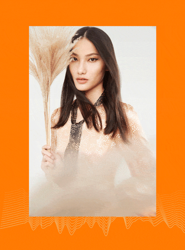 裙子|PSALTER｜换上十月的新裙子，到月亮下散散步