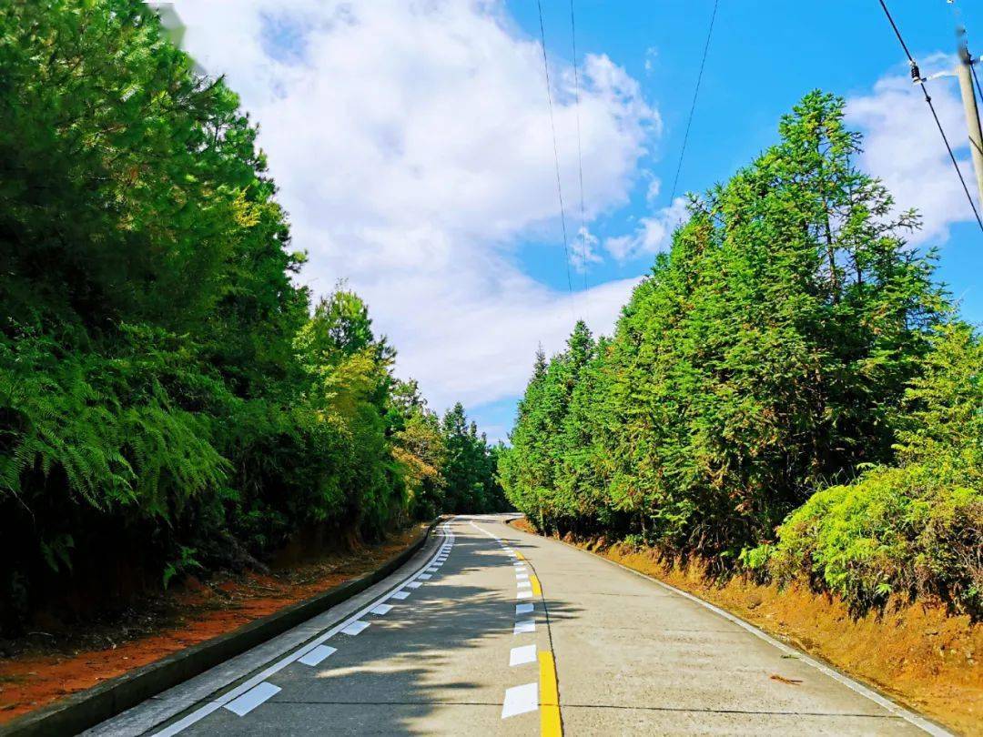 公路在青山间蜿蜒,路旁绿树成荫,与蓝天白云交相辉映