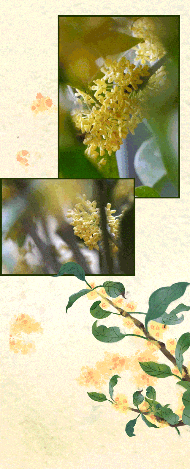 640_1576 竖版 竖屏