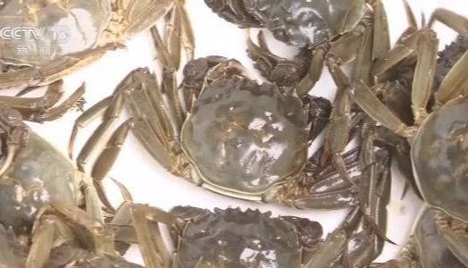 国庆|螺蛳粉味月饼搜索量上涨700% 大数据看国庆中秋消费趋势