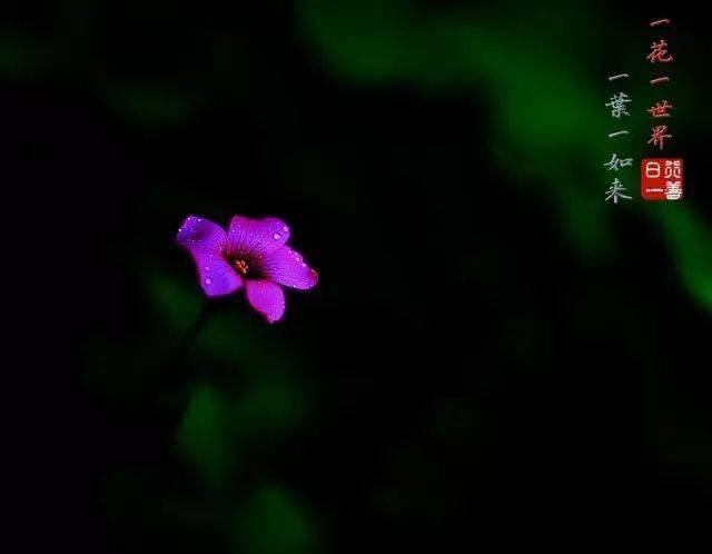 孝敬父母,等于供佛(火遍朋友圈)
