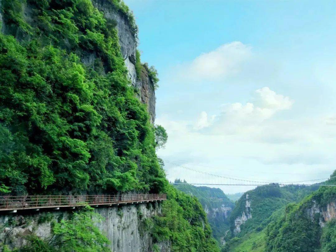 好消息五彩洋山河景区10月1日正式开园一大波福利重磅来袭