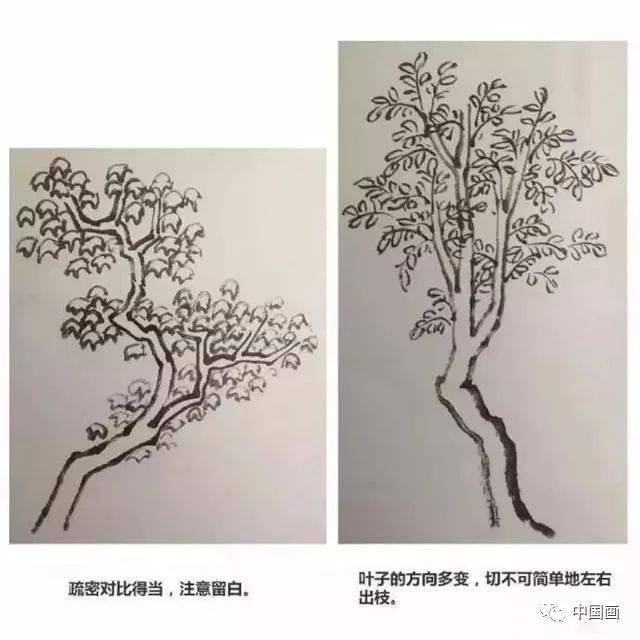 山水画教程:树叶的基本画法