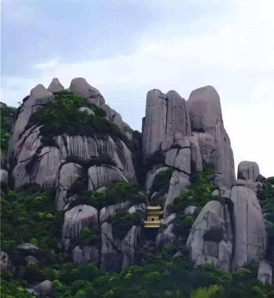 福鼎|古法制成的老白茶，喝着舒心“太姥山”修行之人