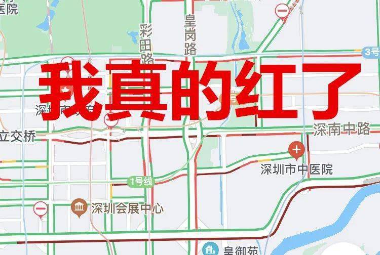 上深圳人口_深圳人口(2)