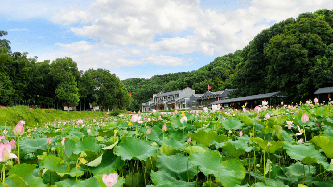 行车路线g351→杨林山村标→子龙桥→子龙路主要景点