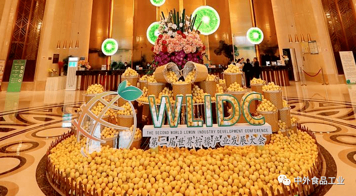 2020年安岳县面试总_资阳市安岳县2020年公开考试招聘教师公告