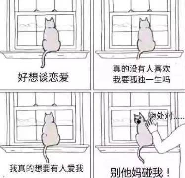 大学生|离“注孤生”就不远了!当代大学生单身理由大赏!中3条以上