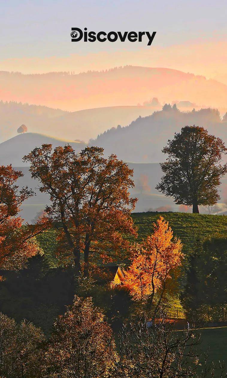 壁纸|请收下秋天的第一波美图