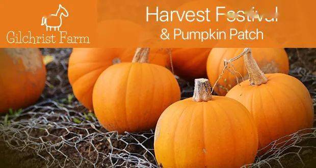 Pumpkin Patch Near Me with Petting Zoo: A Perfect Fall Getaway for Families