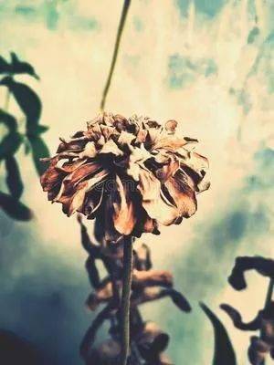 这个世界上有没有神仙 f192303db9694bbdaa1f067382263c1e.jpeg