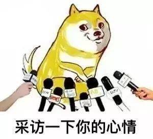 大学生|离“注孤生”就不远了!当代大学生单身理由大赏!中3条以上
