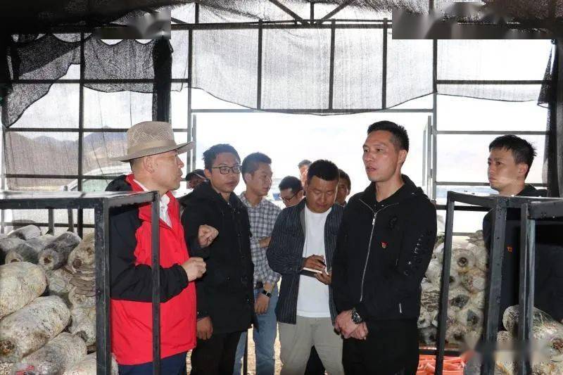 【头条要闻】林谋东,王文昌,林巍等同志深入益青乡尼琼村, 曲扎村走访