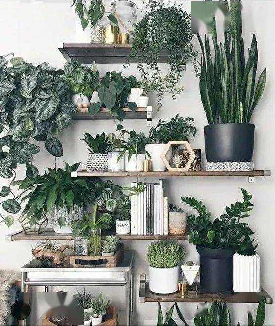 结构|家再小，也能建造的这些小花园！