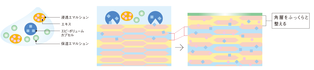 肌肤|POLA黑B.A全线大升级价格表及发售日期！