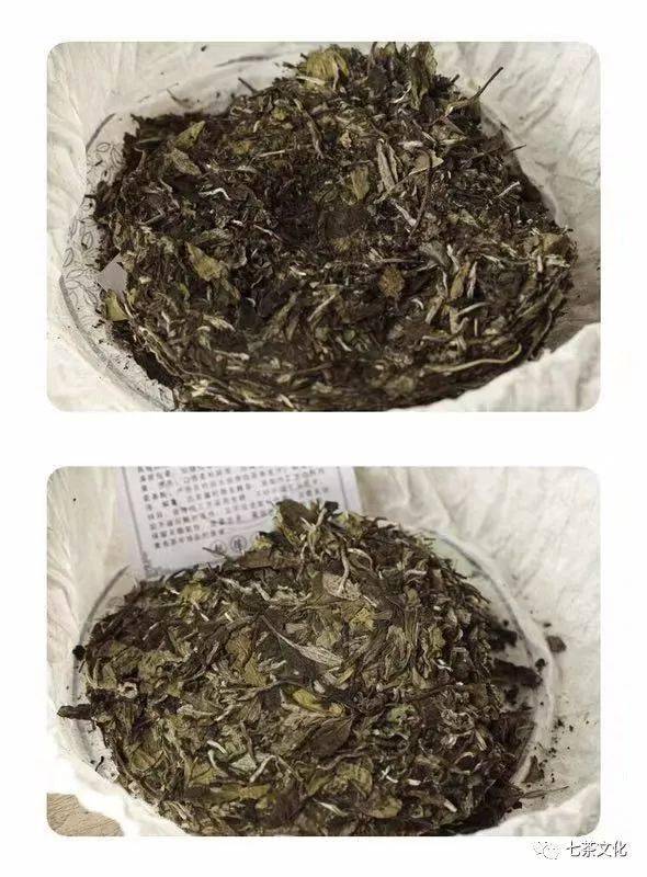 茶树|醇厚且不失清爽，囤起来！假期秒杀丨荒山白茶饼