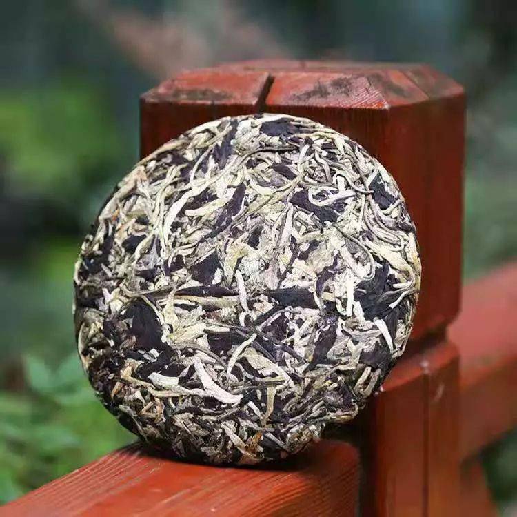 白露|秋凉至，喝什么茶最养胃？秋风起