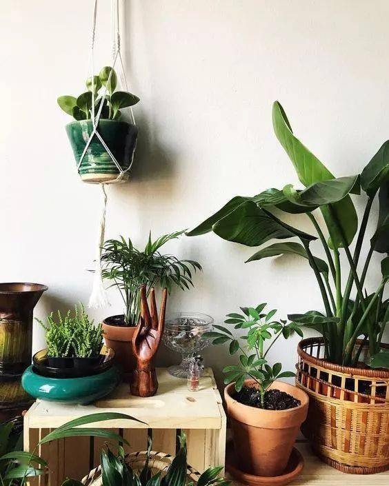 结构|家再小，也能建造的这些小花园！