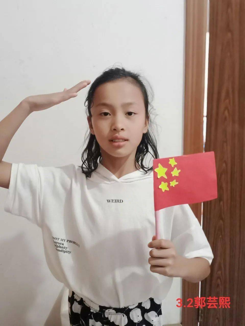 【生态以智明理】绣面国旗,圆我"中国梦"