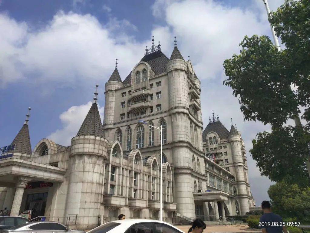 2020江门恩平区人均g_恩平有人养史宾格犬(2)