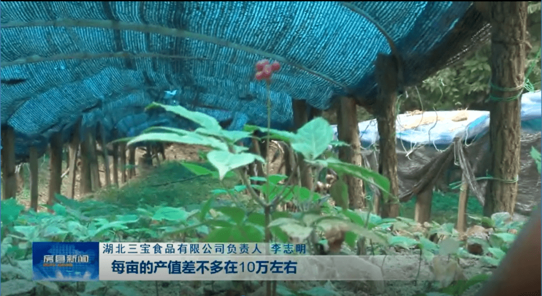 河峪乡人口_角峪镇苏庄村人口