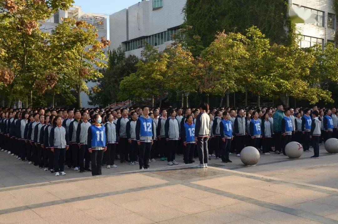 德州一中网站建设 来自搜狐网