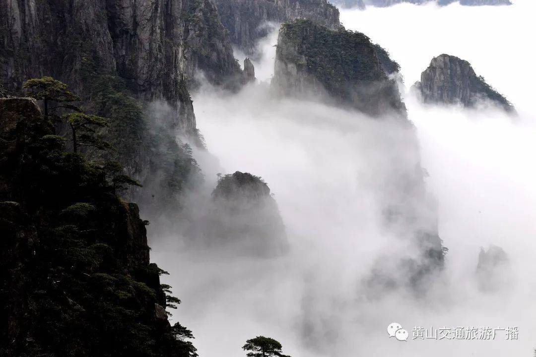 十一假期第五天:黄山风景区大美云海迎游人