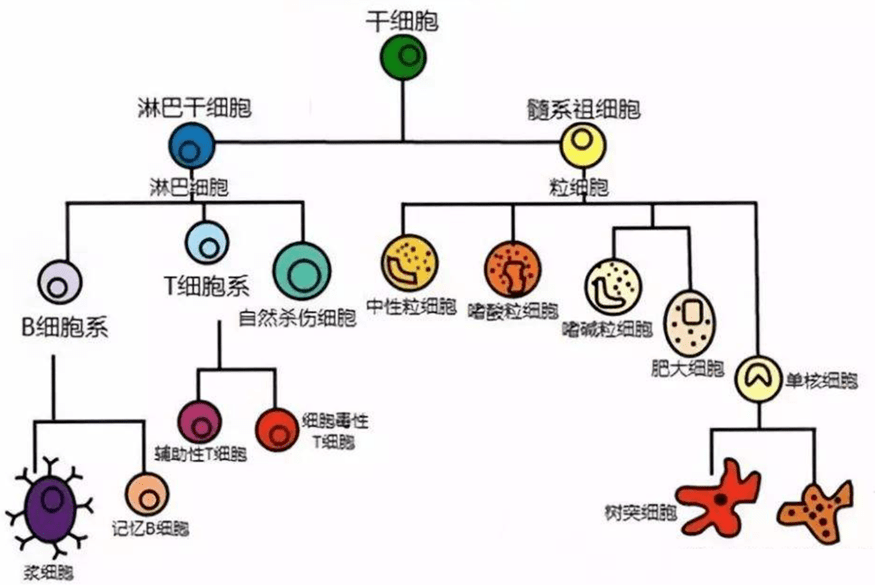 686f9f15b3914afd90f0236a606c82fa.png