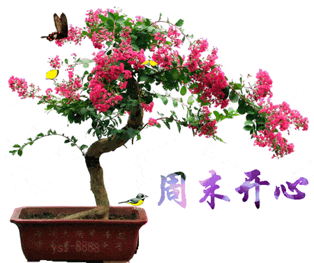 中老年人专用表情包 i 大家早上好啊