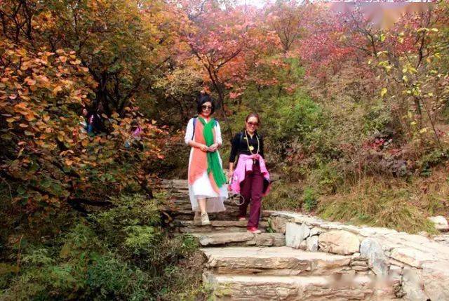 山上人和山下人 c17a9c2e7f934b9ead90ac0744040e73.jpeg