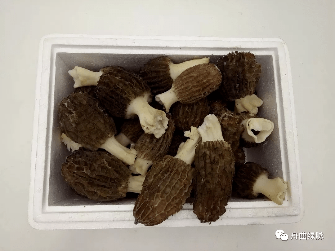 16928f61a6f0497187e6fb5e56f8a8df.png