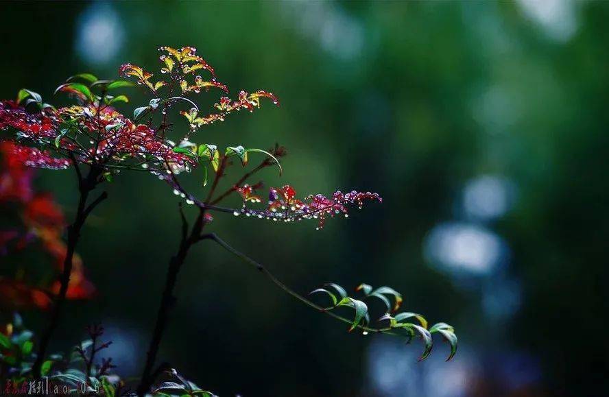 的秋天 教案_秋天 教案_秋天的雨教案范文