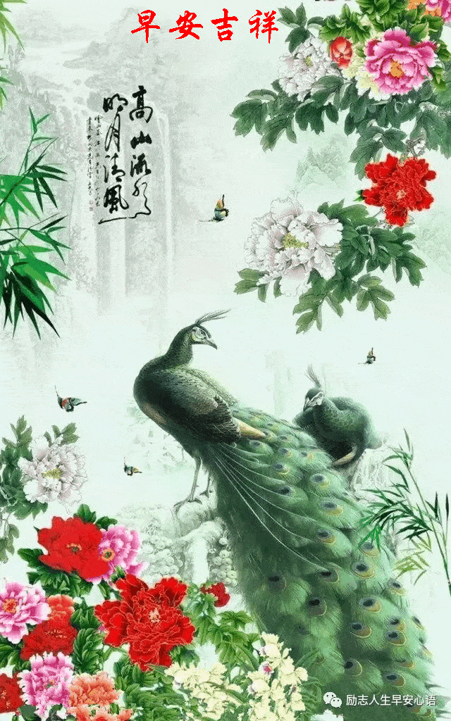 640_1024 竖版 竖屏