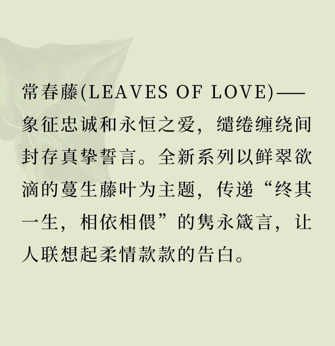 常春藤|DIOR迪奥 LEAVES OF LOVE 常春藤高级珠宝系列