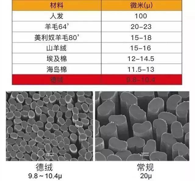 劳斯莱斯|德国保暖衣界的劳斯莱斯！德绒“自发热”36.8℃恒温内衣