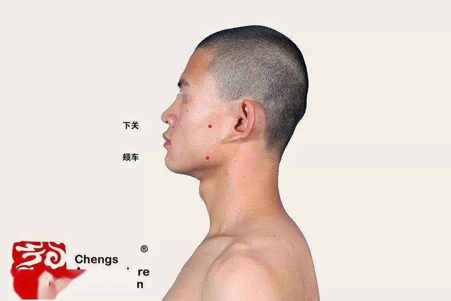 【每日穴习】缓解牙痛,按揉合谷,下关,颊车