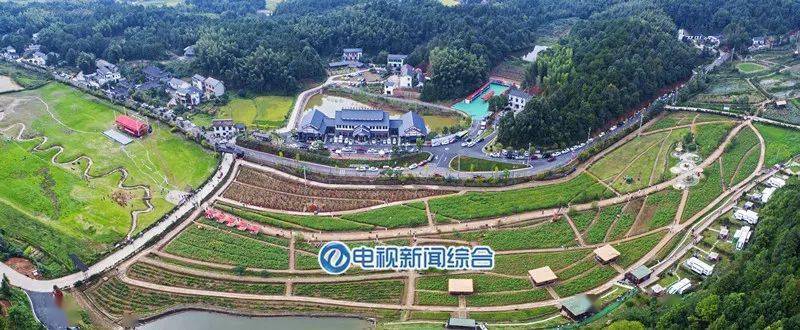 收获满满!石三门首届农民丰收节胜利闭幕