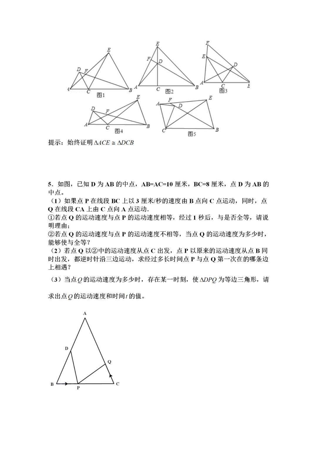 八年级数学上册压轴题专题练习题