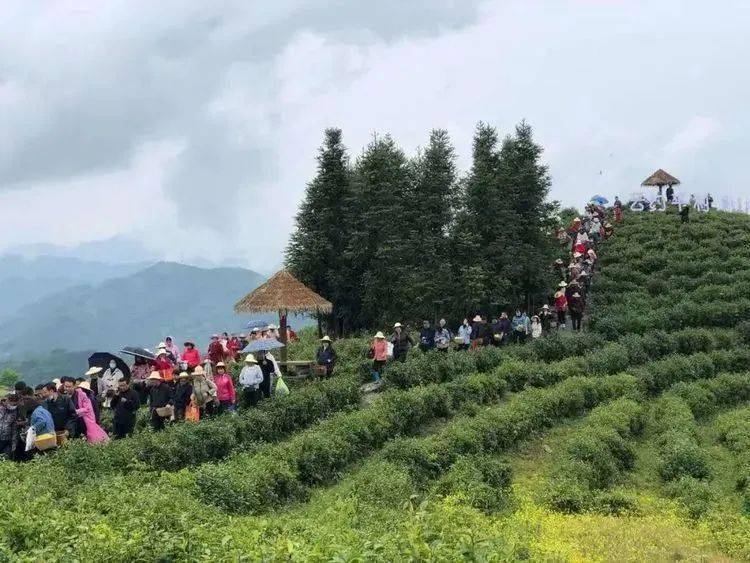 上司镇旅游景点大全 0d24b244ead142658dcabda5266b5f11.jpeg