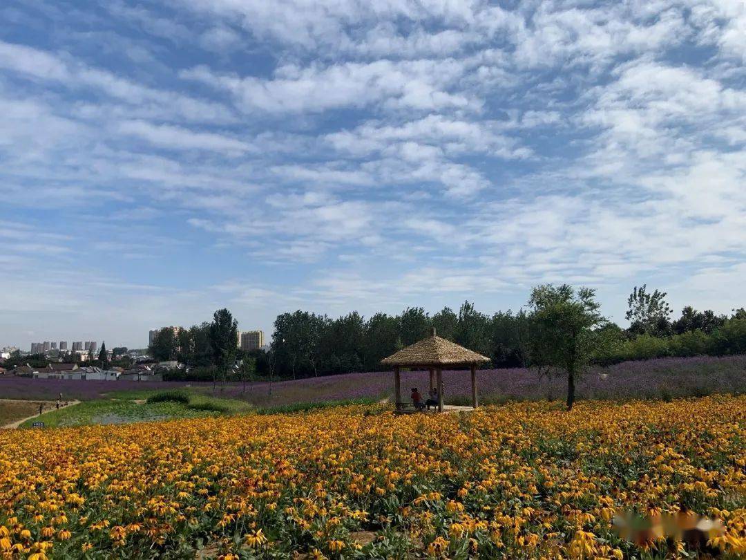 都梁山中 都梁阁 都梁阁上 赏美景 花海 花海是盱眙的热门景点之一