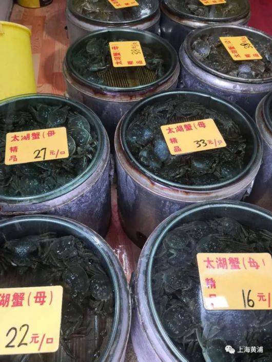 寿宁|大闸蟹“中秋国庆价”开始下跌！部分菜市场：二两母蟹16元/只！