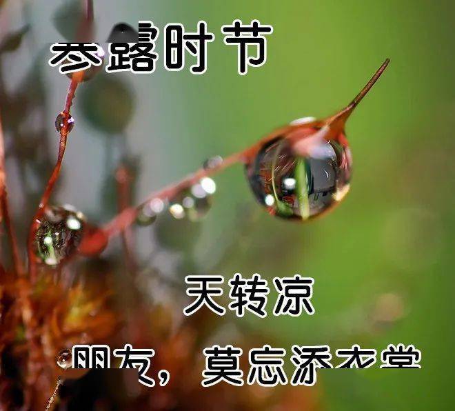 10月8日寒露最漂亮表情图片大全