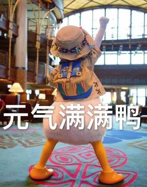 成绩|本一压线成绩也能上985\\211？这些学校值得你提前好好做功课！