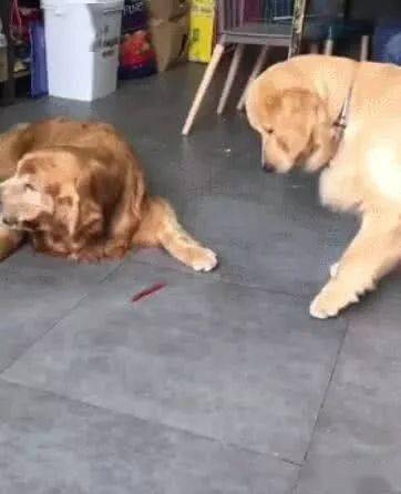 390651240e5e410c9885292c6f79ac1c.jpeg