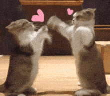 好的表情图片gif 543b01d9fcb64c75a1f2a594d3fa8a41.gif