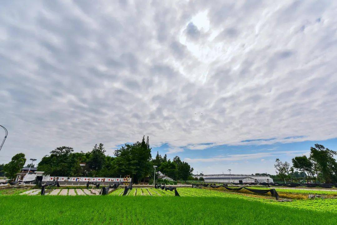 a5a66119c5804faa89a03c35f1744ed8.jpeg
