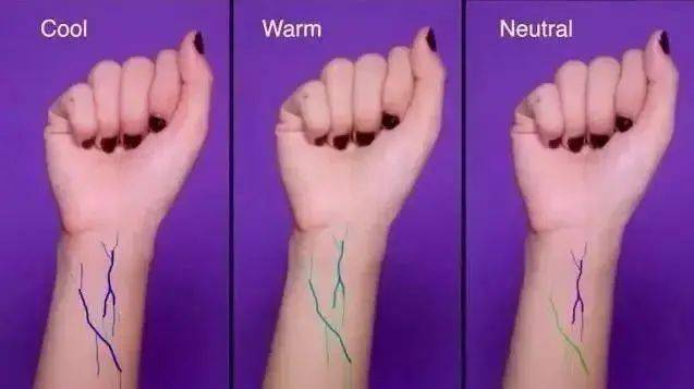 肤色|不谈肤调谈彩妆？再大牌也拯救不了你！