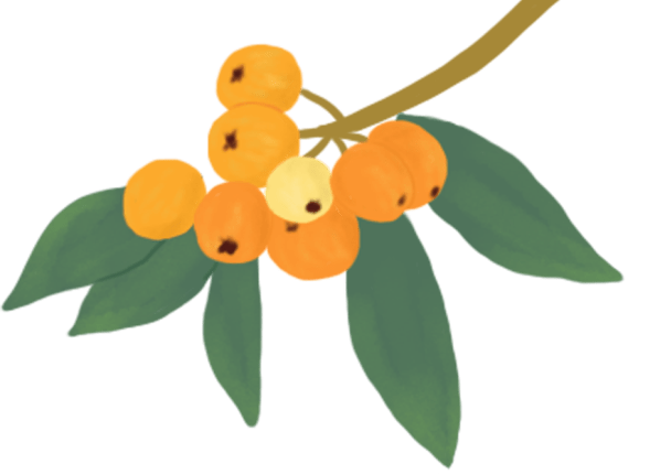 患者|热爱生活，让你远离多囊烦扰